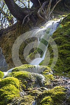 Bachkovo waterfall in the Rhodopes, Bulgaria