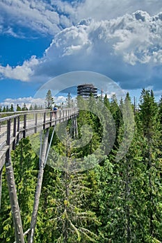 Bachledka treetop walk in the foothills of the Tatra Mountains, Slovakia