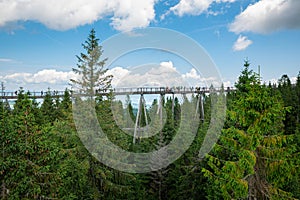 Treetop Walk in Tatra Mountains, Slovakia