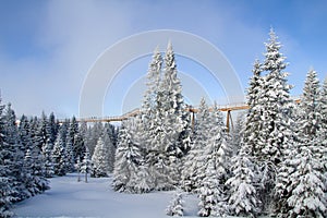 Bachledova valley in High Tatras, Slovakia