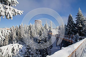 Bachledova valley in High Tatras, Slovakia