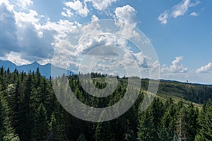 View from treetop walk Bachledka in High Tatra mountains