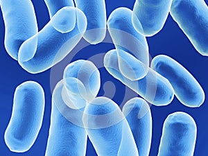 Bacillus bacteria photo