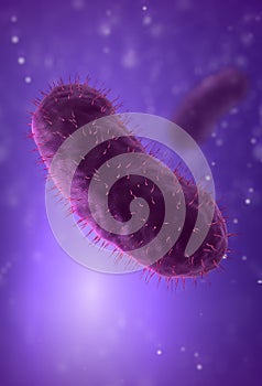 Bacillus bacteria closeup photo