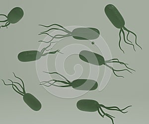 bacillus bacteria swimming in the water