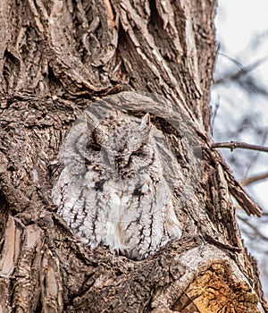 Back again for another season