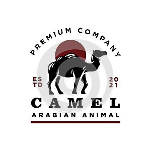 Back Arabian Camel Logo Inspiration