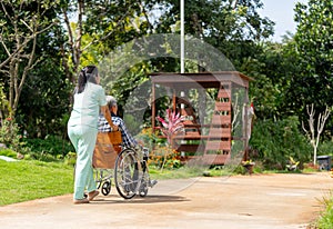 Back of Asian nurse cart of shove senior man sit on wheelchair to walk along the walkway in the garden and they look happiness