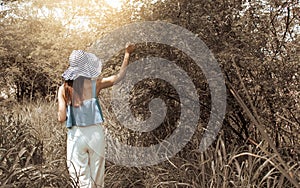 Back attractive woman with hat and casual clothes trekking, walking and getting lost in wanderlust forest and beautiful landscape