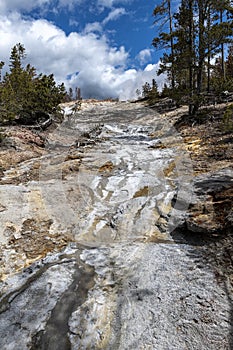 Back Basin, Norris Geyser Basin, Yellowstone
