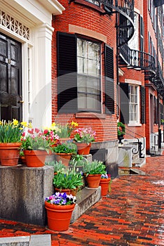 Back bay Boston in Spring