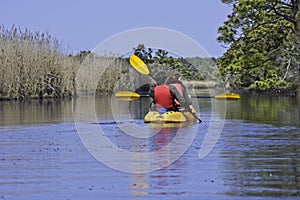 Kayaking in the National Wildlife Refuge on Back Bay, Virginia Beach Virginia