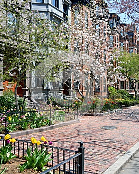 Back Bay in the Spring