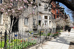 Back Bay in the spring