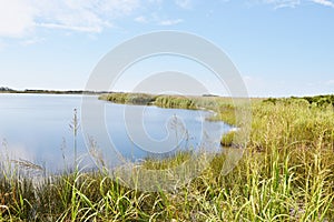 Back bay wildlife refuge freshwater lake virginia state usa