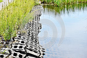 Back bay wildlife refuge shore reinforcements virginia state usa