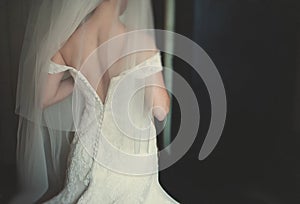 The back of the bride, wedding dress, veil, buttons