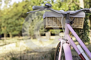 Back close up view of pink retro bicycle with park background sorrounded by nature
