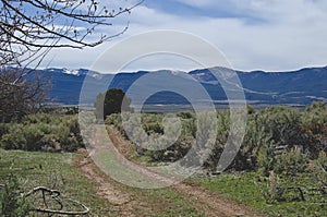 The back country dirt road in utah