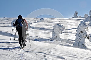 Back country skier (ski touring)