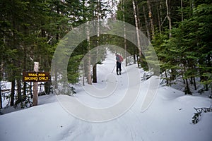 Back-country skier on a trail in the woods