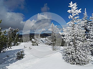 Back Country Skiers Delight: Snow Ghosts on Darland Mountain