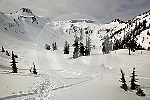 Back country skiing and snow shoeing tracks and prints in the Ca