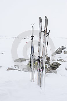 Back-country skiis standing in snow
