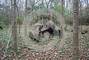 The Back End of an old Ford Great Swamp Sanctuary