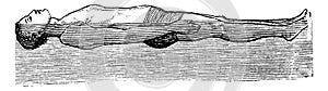 Back Float, vintage engraved illustration