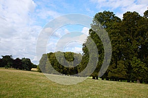 Back garden of the Blenheim Palace