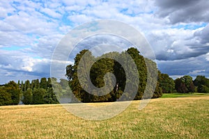 Back garden of the Blenheim Palace