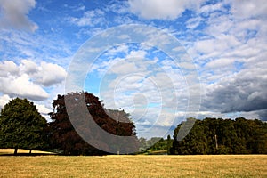 Back garden of the Blenheim Palace with beautiful clouds