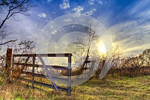 Back Gate in East Texas