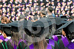 Back of graduates during commencement at university.