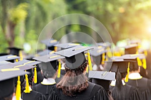 Back of graduates during commencement at university. Close up at