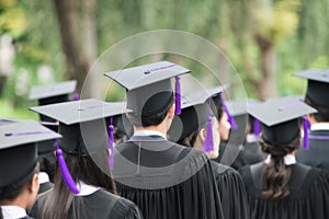 Back of graduates during commencement at university. Graduate wa