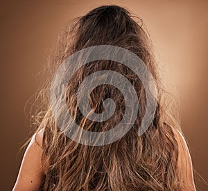 Back, hair and frizzy with a woman in studio on a brown background for haircare or salon treatment. Repair, damaged and