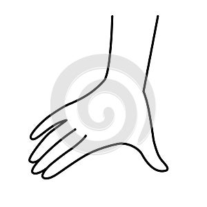 Back of the hand,  hand span, monochrome line illustration