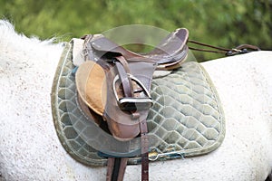 On the back of the horse, a brown leather saddle