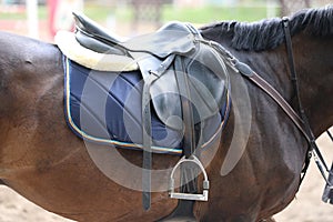 On the back of the horse, a brown leather saddle