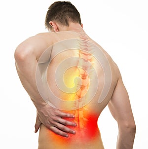 Back Injury Male Anatomy - Studio shot with 3D illustration isolated on white