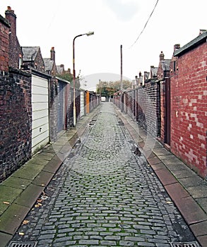 Back Lane