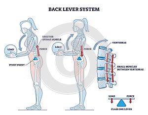 Back lever system with vertebrae bone movement on lever outline diagram photo