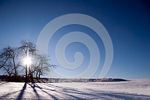 Back light winter landscape