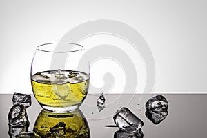 A back lit oval glass of golden Whiskey with ice on a high gloss base with ice cubes against a white background