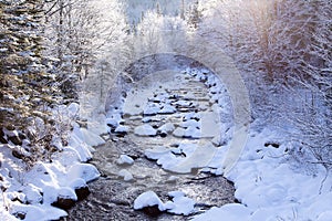 Back lit small tributary flowing in the Jacques-Cartier National Park seen during winter golden hour morning