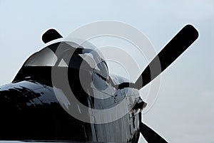 Back-lite P-51 photo