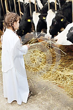 Back of little girl in white robe giving hay to