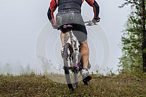 back male mountain bike cyclist riding on forest trail